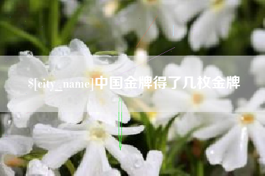 白山中国金牌得了几枚金牌