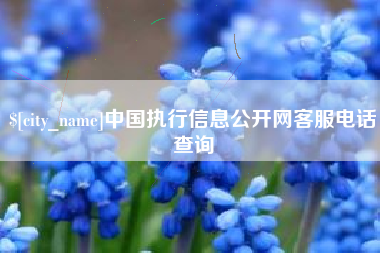 白山中国执行信息公开网客服电话查询