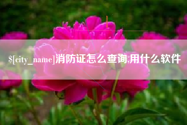 白山消防证怎么查询,用什么软件
