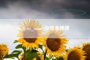 白山中国金牌牌