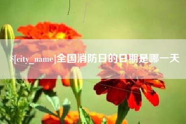 白山全国消防日的日期是哪一天