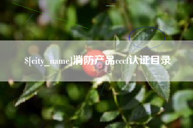 白山消防产品cccf认证目录