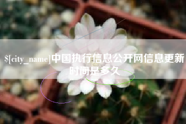 白山中国执行信息公开网信息更新时间是多久