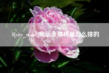 白山奥运金牌榜是怎么排的