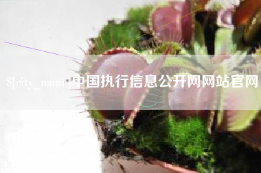 白山中国执行信息公开网网站官网