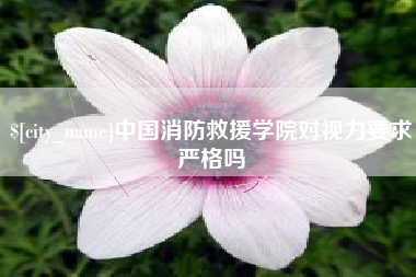 白山中国消防救援学院对视力要求严格吗