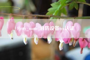 白山消防设备ccc认证