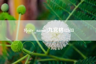 白山九宫格42633