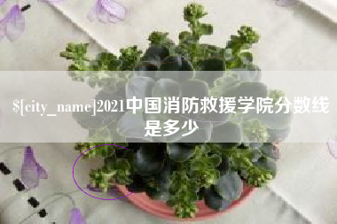 白山2021中国消防救援学院分数线是多少