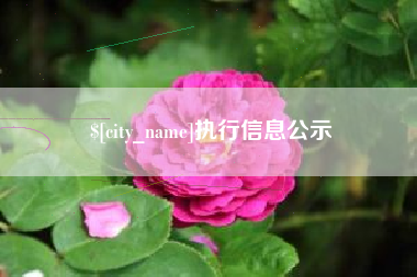 白山执行信息公示