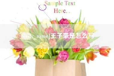 白山王子豪是怎么写