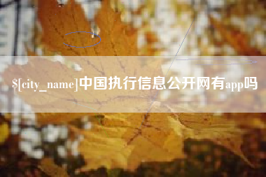 白山中国执行信息公开网有app吗