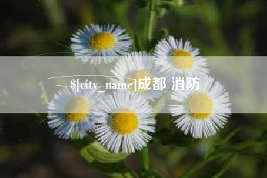 白山成都 消防