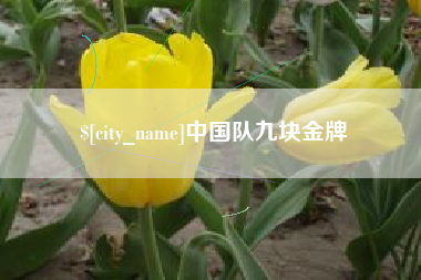 白山中国队九块金牌