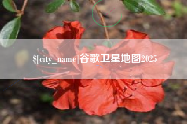 白山谷歌卫星地图2025