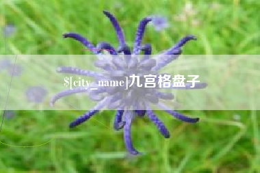 白山九宫格盘子