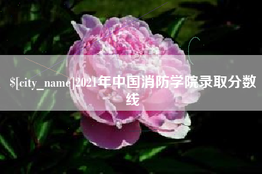 白山2021年中国消防学院录取分数线