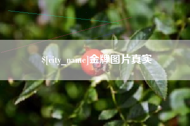 白山金牌图片真实
