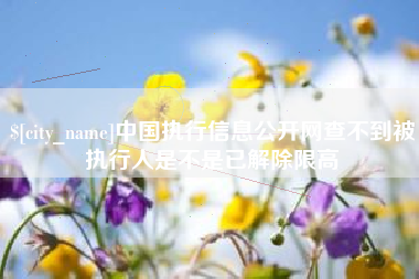 白山中国执行信息公开网查不到被执行人是不是已解除限高