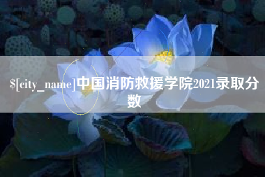 白山中国消防救援学院2021录取分数