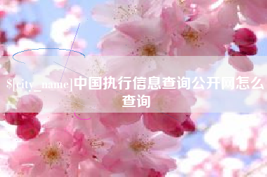 白山中国执行信息查询公开网怎么查询