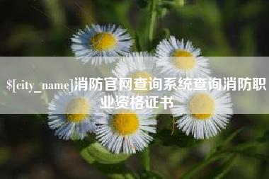 白山消防官网查询系统查询消防职业资格证书