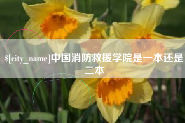 白山中国消防救援学院是一本还是二本