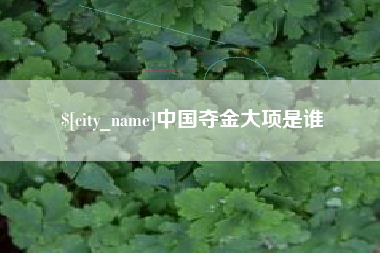 白山中国夺金大项是谁