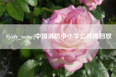 白山中国消防中小学公开课回放
