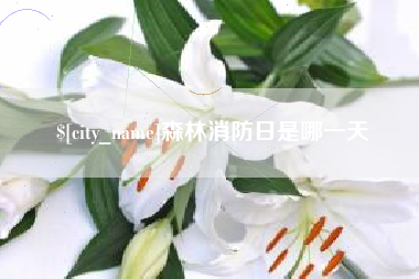 白山森林消防日是哪一天