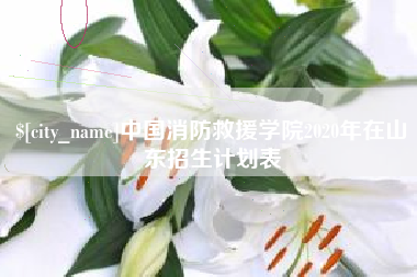 白山中国消防救援学院2020年在山东招生计划表