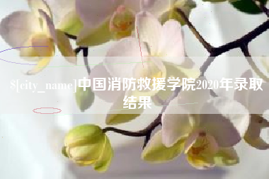 白山中国消防救援学院2020年录取结果