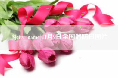 白山11月9日全国消防日图片