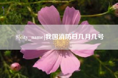 白山我国消防日几月几号