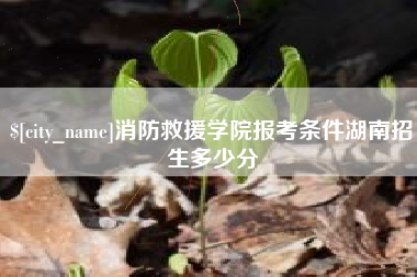 白山消防救援学院报考条件湖南招生多少分