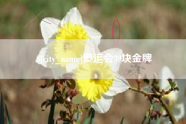 白山奥运会39块金牌