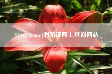 白山消防证网上查询网站