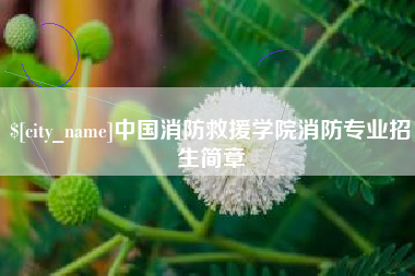 白山中国消防救援学院消防专业招生简章