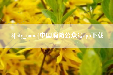 白山中国消防公众号app下载