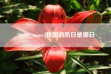 白山我国消防日是哪日