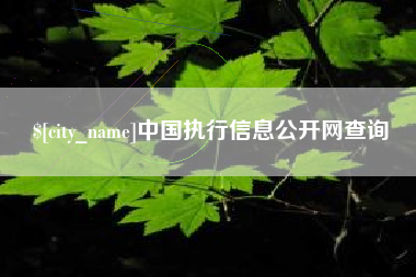 白山中国执行信息公开网查询