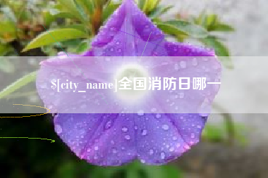 白山全国消防日哪一