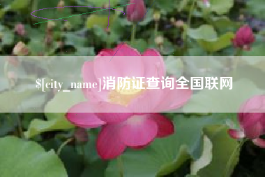 白山消防证查询全国联网