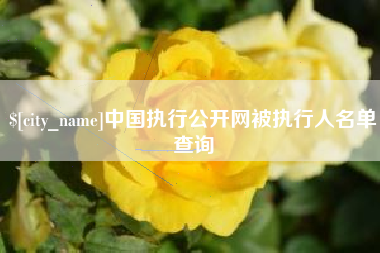 白山中国执行公开网被执行人名单查询