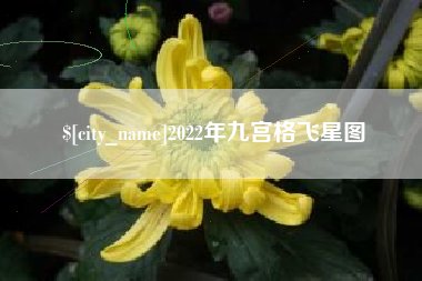 白山2022年九宫格飞星图