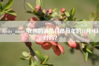 白山我国的消防日是每年的11月9日对吗？