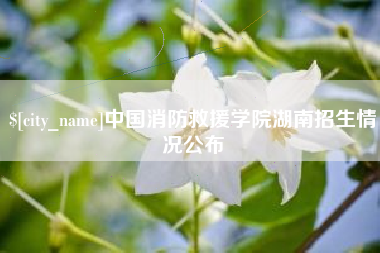 白山中国消防救援学院湖南招生情况公布