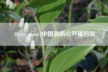 白山中国消防公开课回放