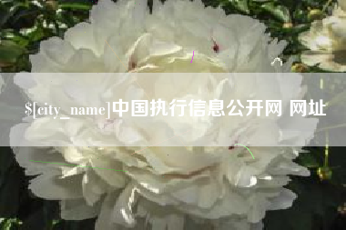 白山中国执行信息公开网 网址