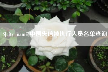 白山中国失信被执行人员名单查询